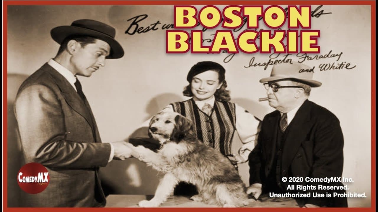 Boston Blackieの背景画像