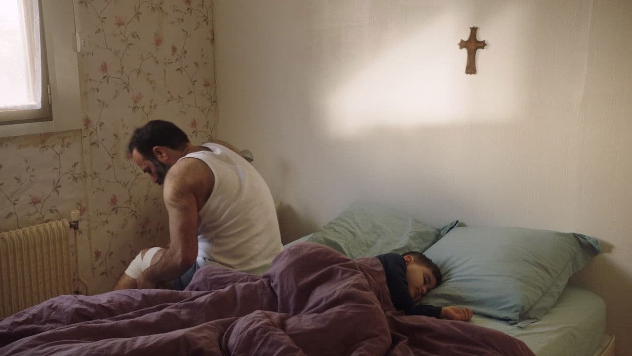 Shahinの背景画像