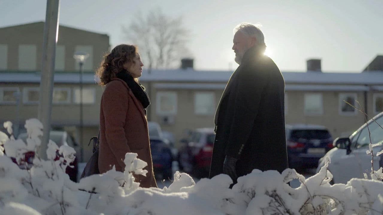 I brottets spår: Fallet Toveの背景画像