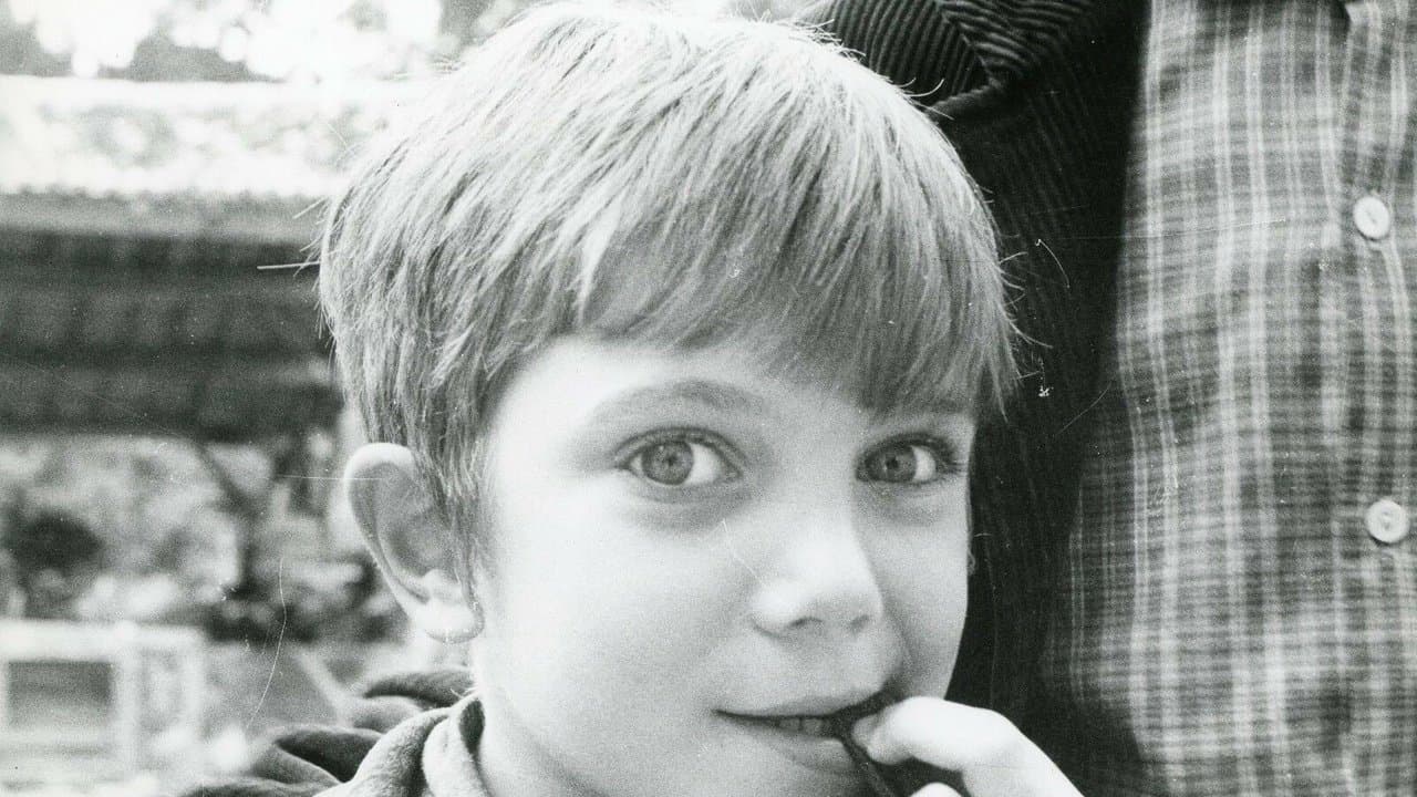 Graine d'Ortieの背景画像