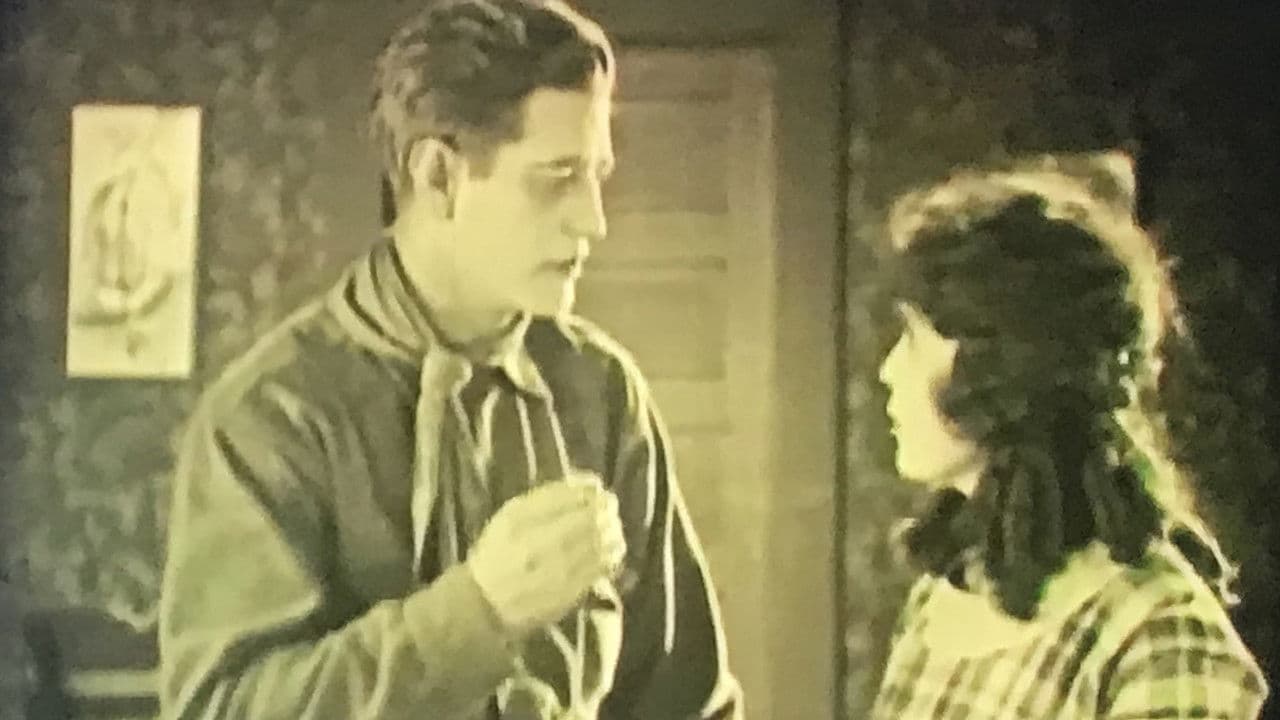 The Show Downの背景画像