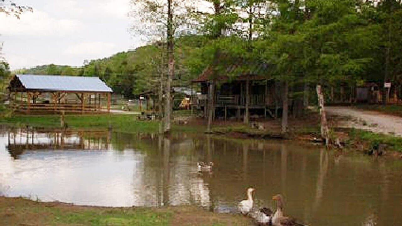 The Little Ponderosa Zooの背景画像