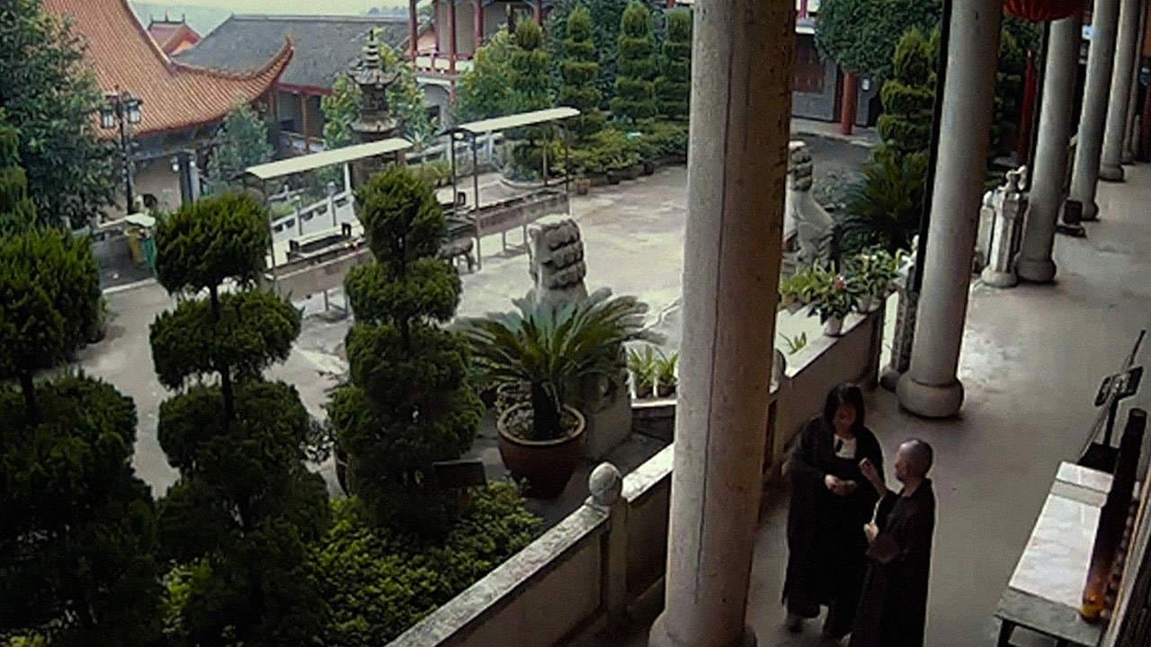 蜻蜓之眼の背景画像