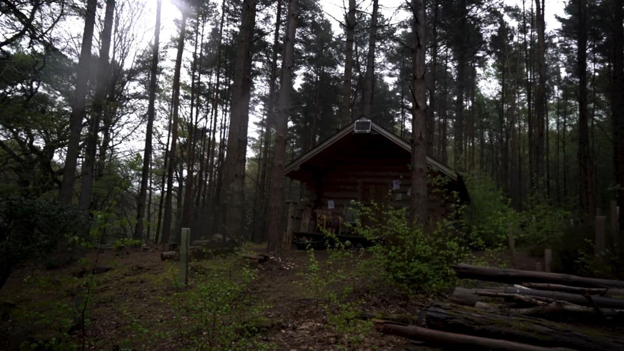 Disturbanceの背景画像