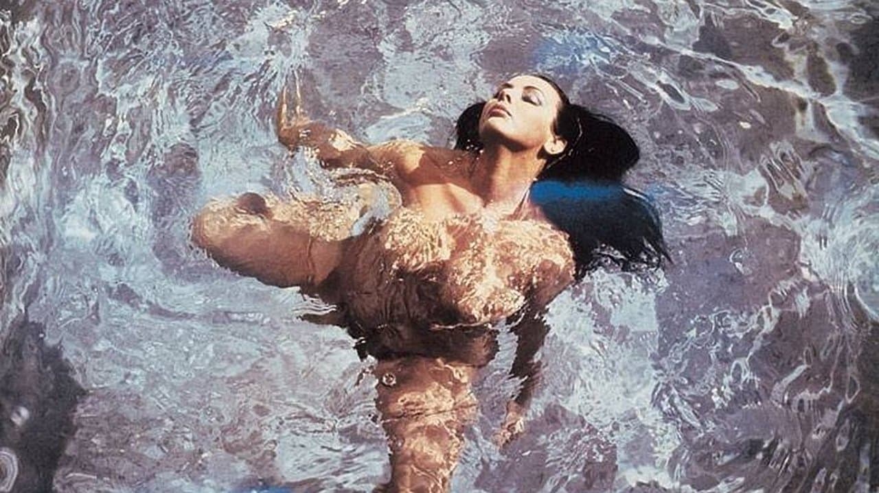 Fuegoの背景画像