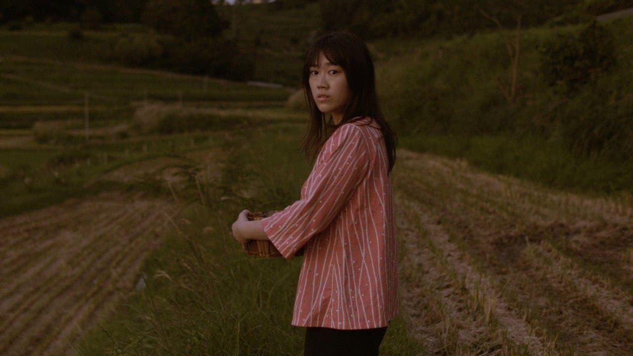 雨の方舟の背景画像