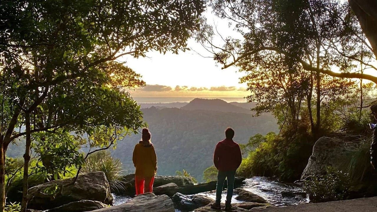 Back to Natureの背景画像