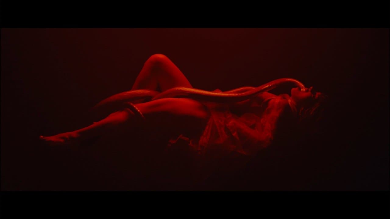 Tundraの背景画像