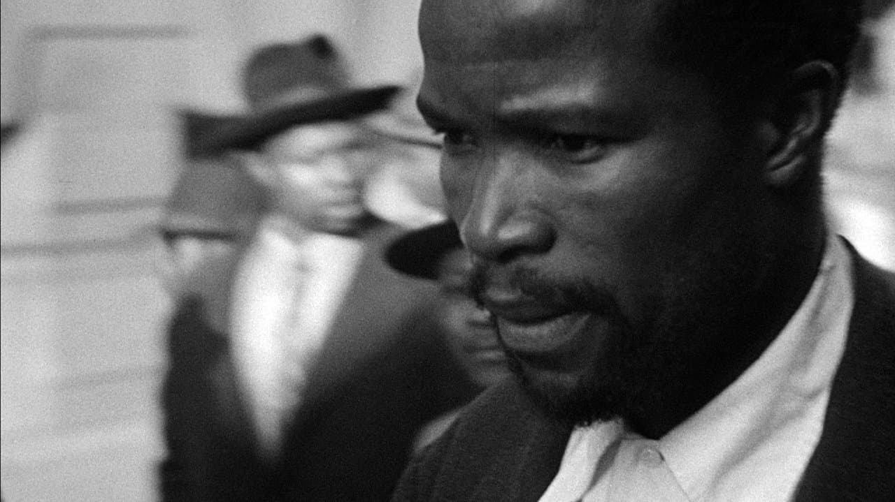 Come Back, Africaの背景画像