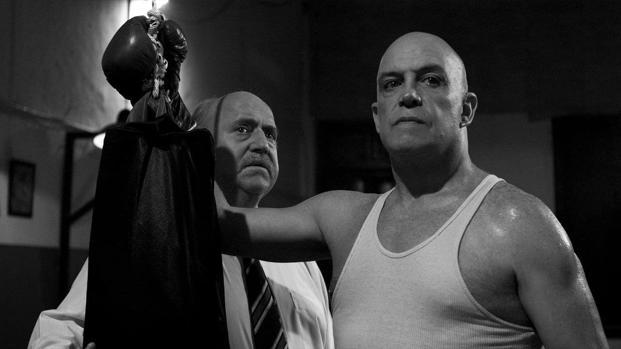 El Púgilの背景画像