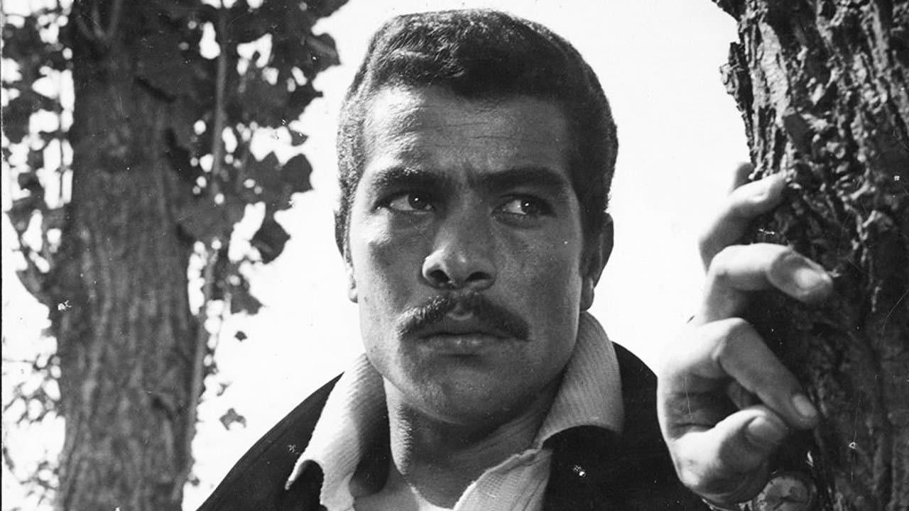 عروس دریاの背景画像