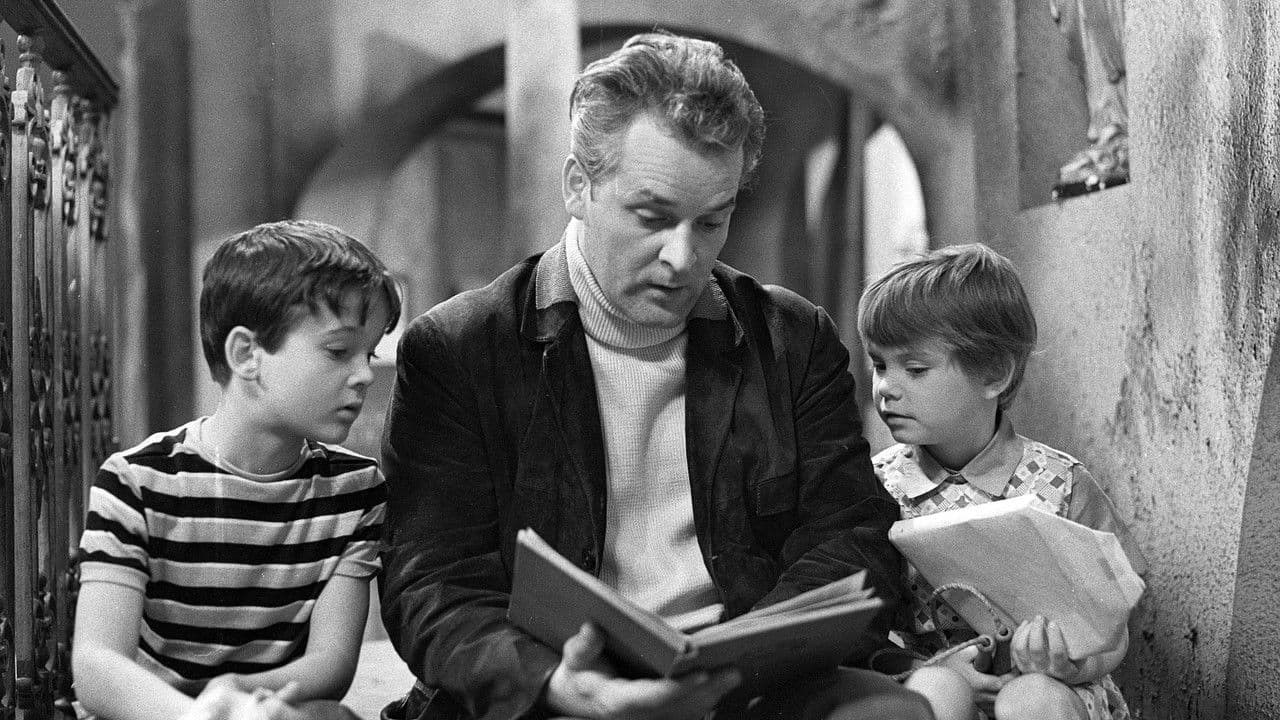 Dům U špačkaの背景画像