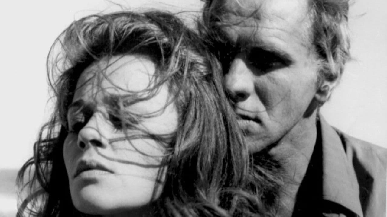 Antes, o Verãoの背景画像