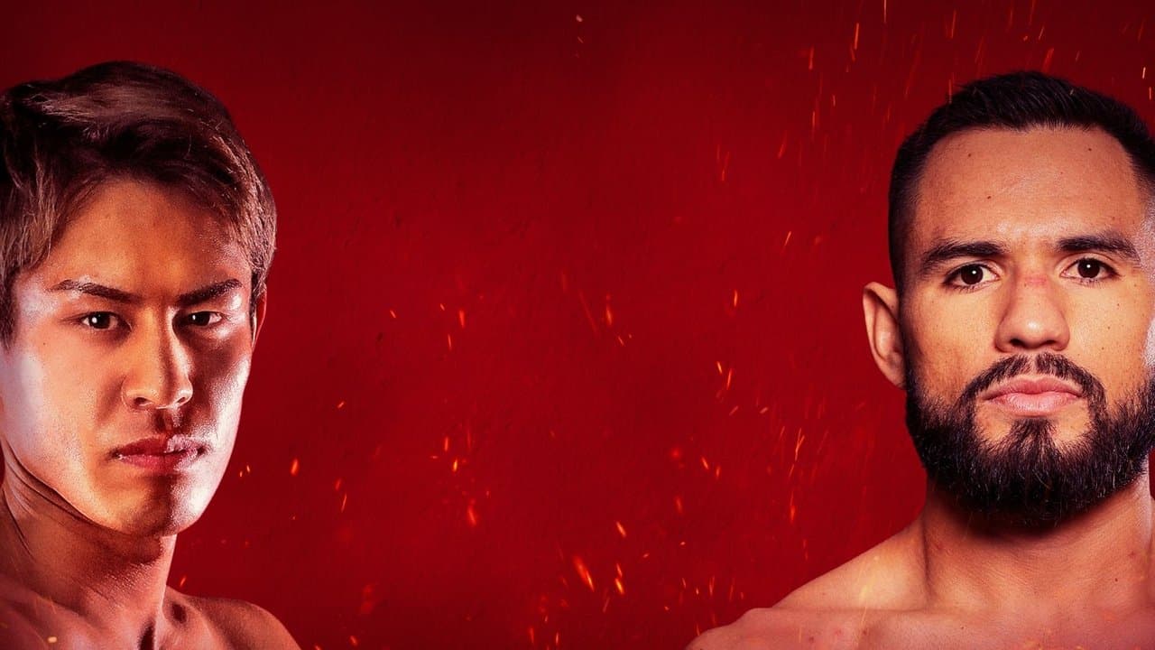 Lemino BOXING ダブル世界タイトルマッチの背景画像