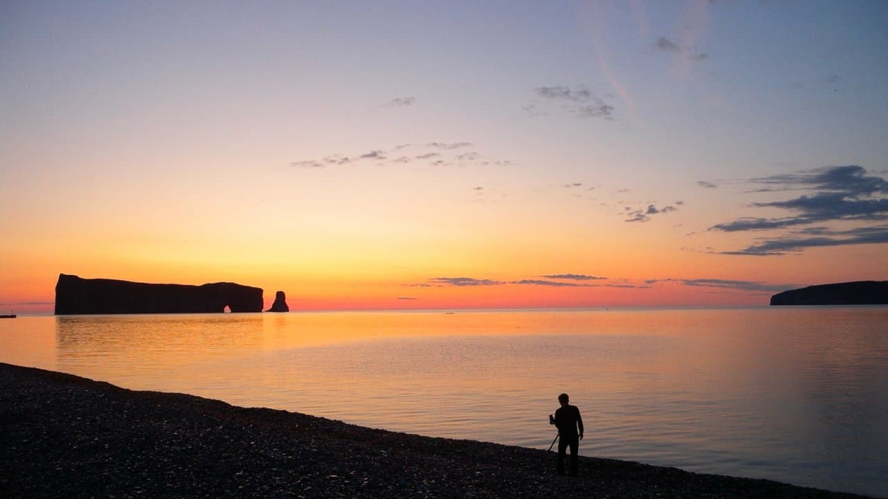 Territoires, alliances et autres métissagesの背景画像