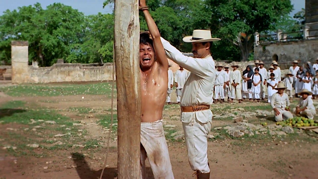 La casta divinaの背景画像