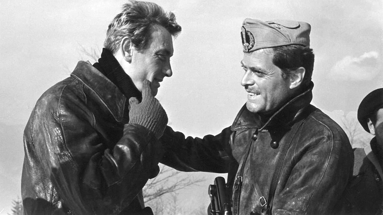 Tiro al piccioneの背景画像