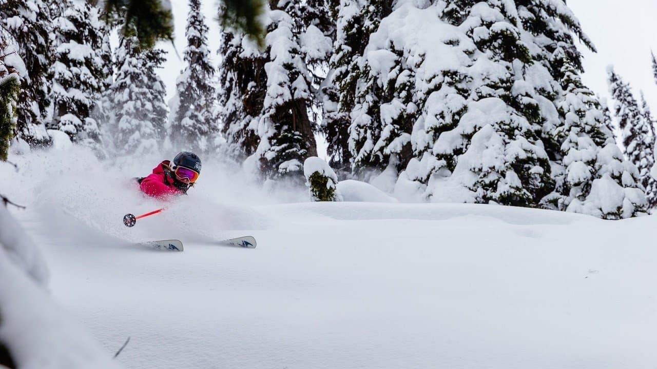 Rogue Elementsの背景画像