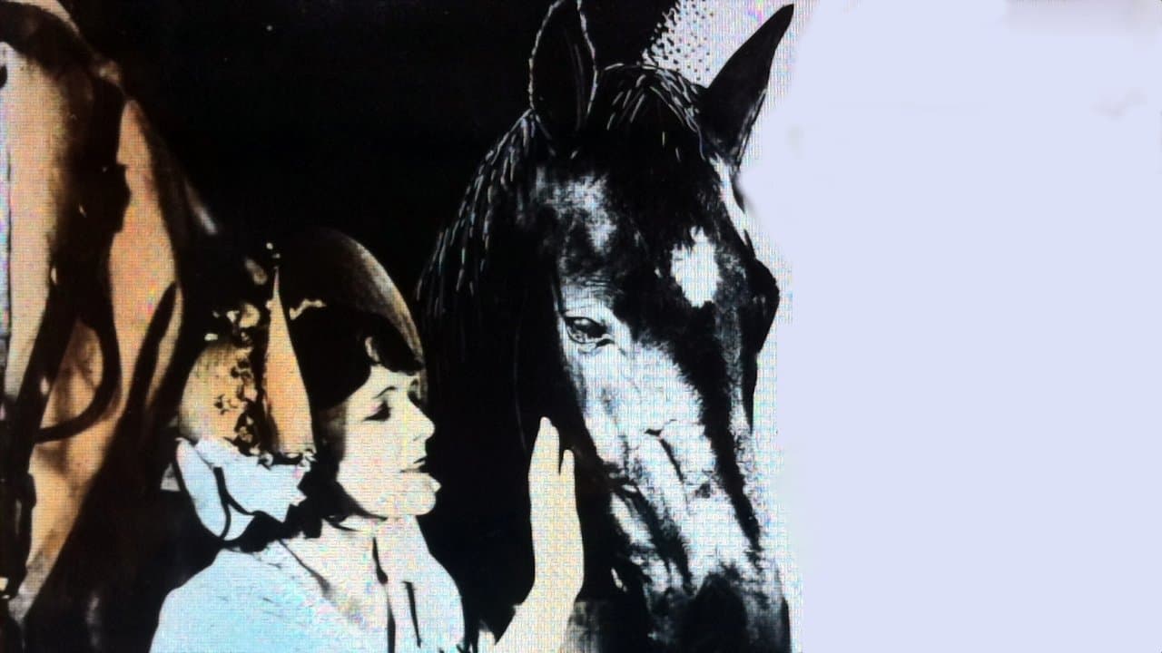 Black Beautyの背景画像