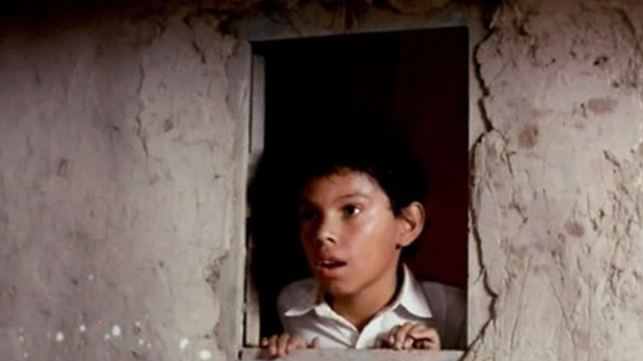 El señor de los pájarosの背景画像