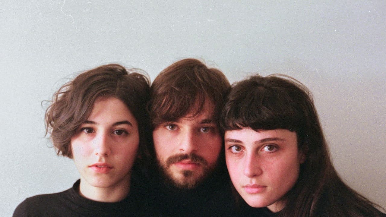 Os Pássaros de Massachusettsの背景画像