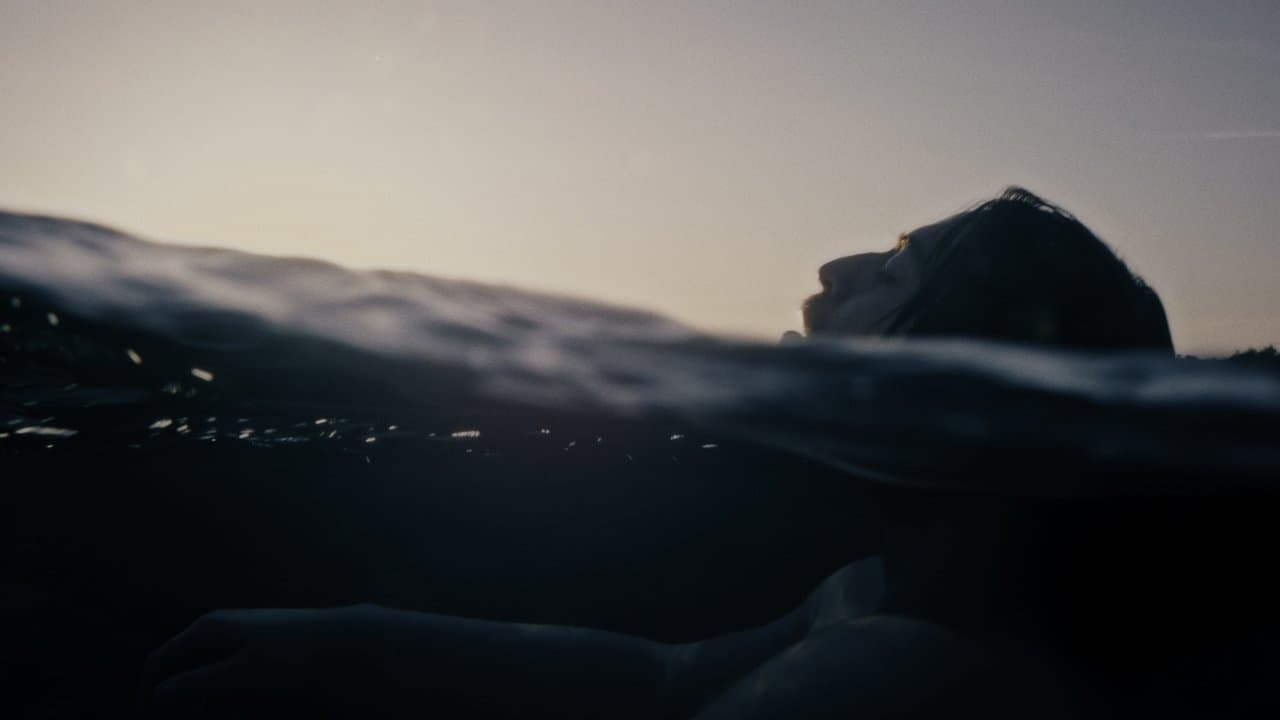 Anche il riccio respiraの背景画像