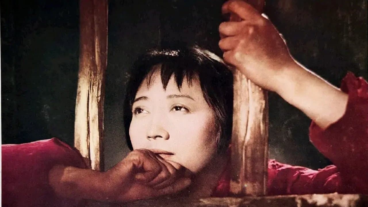 鄂尔多斯风暴の背景画像