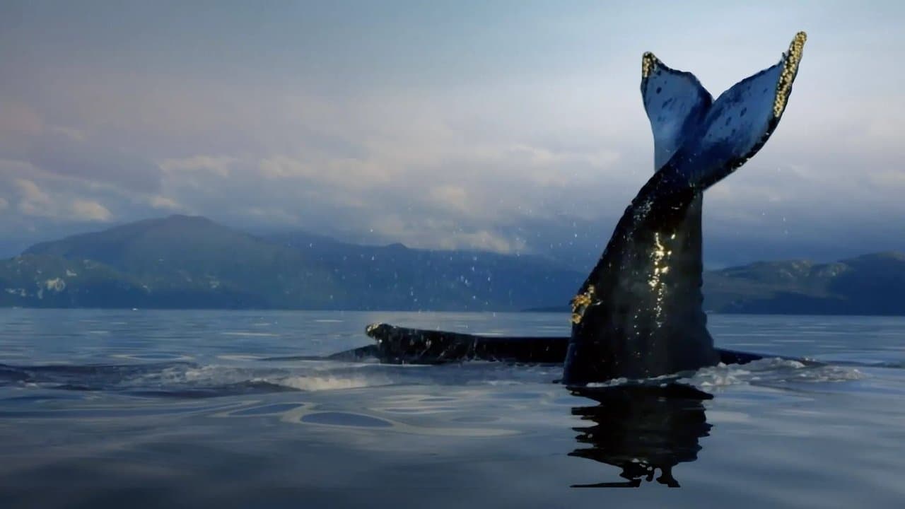 The Humboldt Currentの背景画像