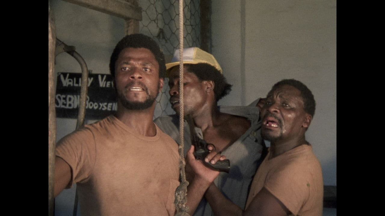 Fishy Stonesの背景画像