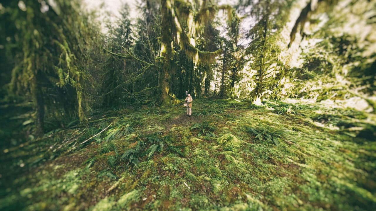 Sanctuaries of Silenceの背景画像