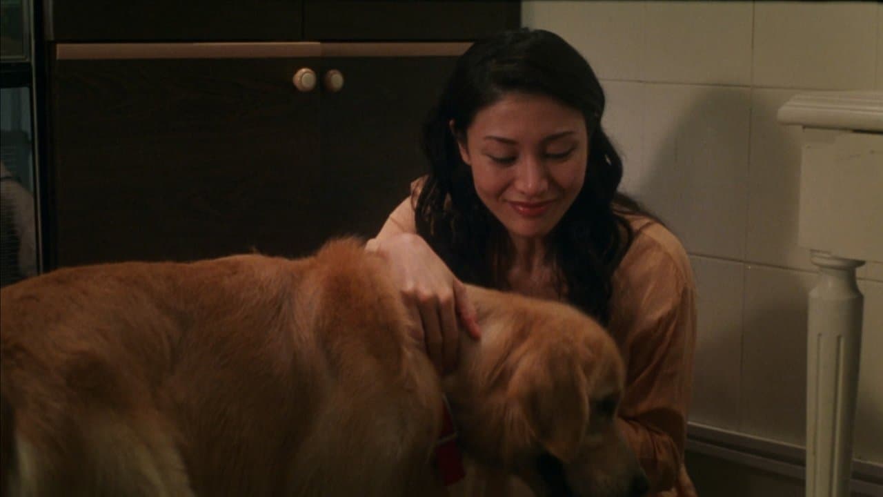 完美情人の背景画像