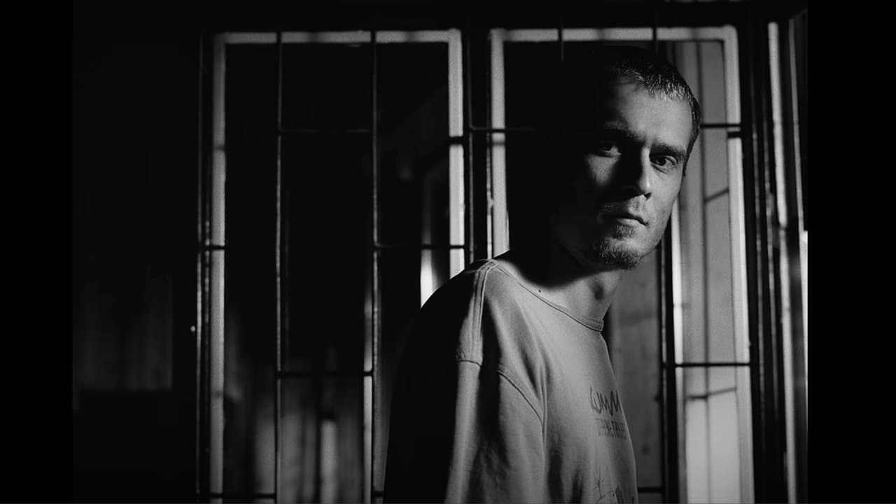 Cam multă spumăの背景画像