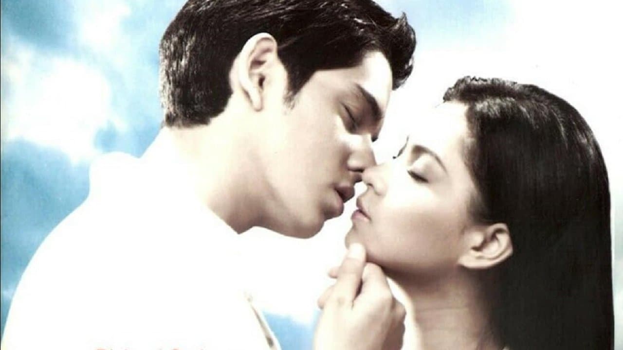 Let the Love Beginの背景画像