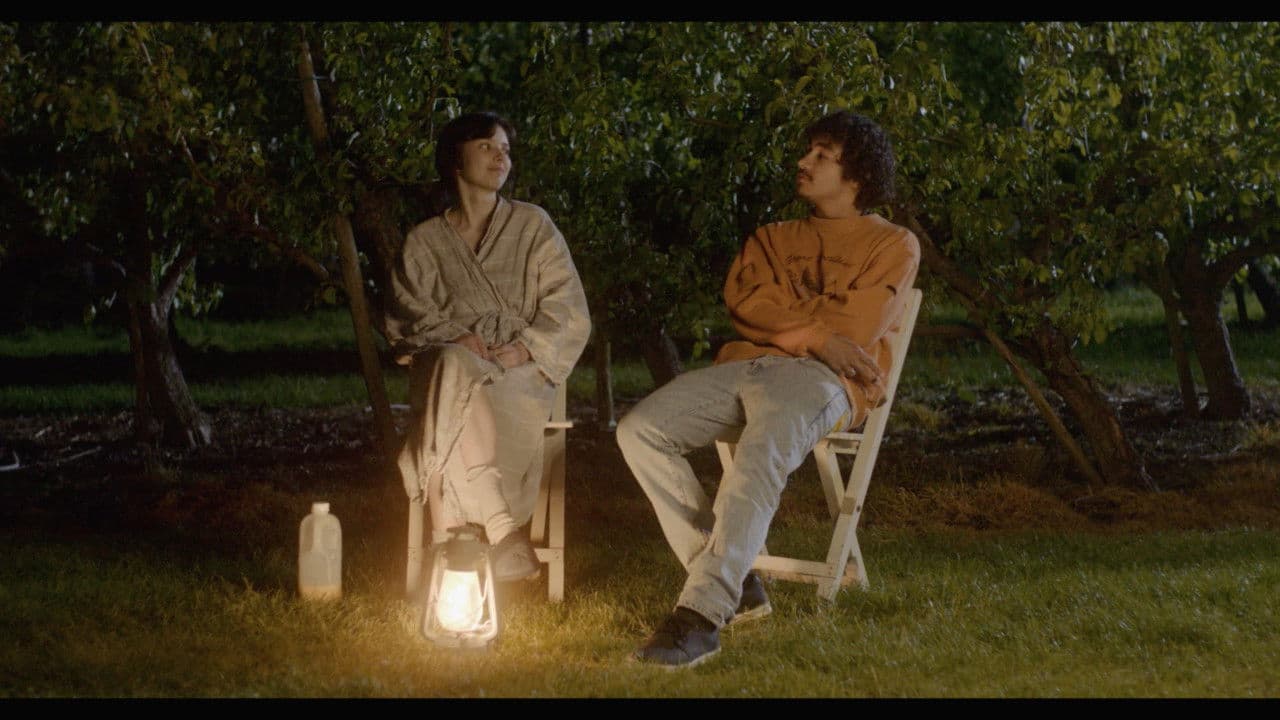 Voltooid Verleden Tijdの背景画像