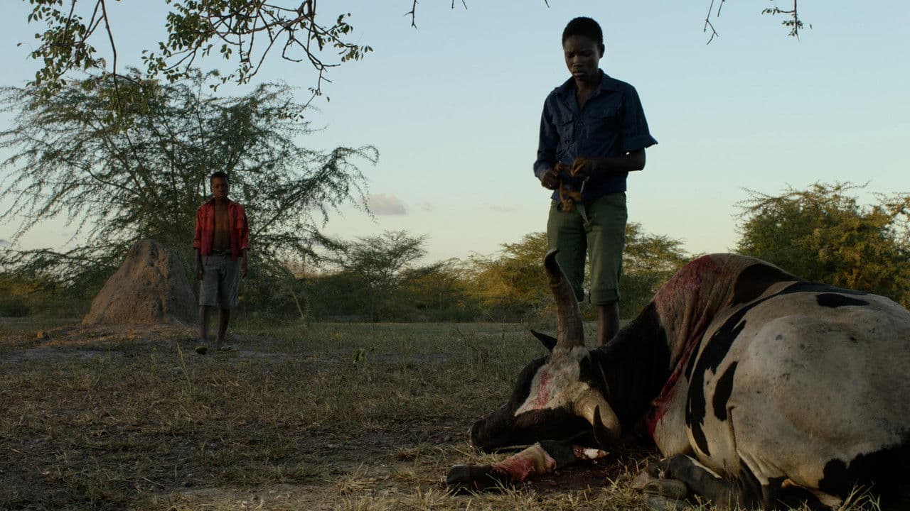 Mabata Bataの背景画像