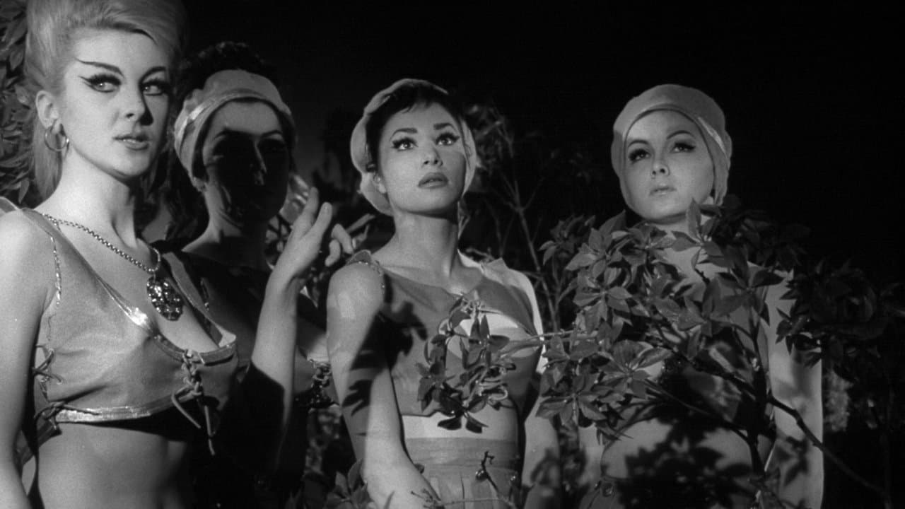 Pandora and the Magic Boxの背景画像