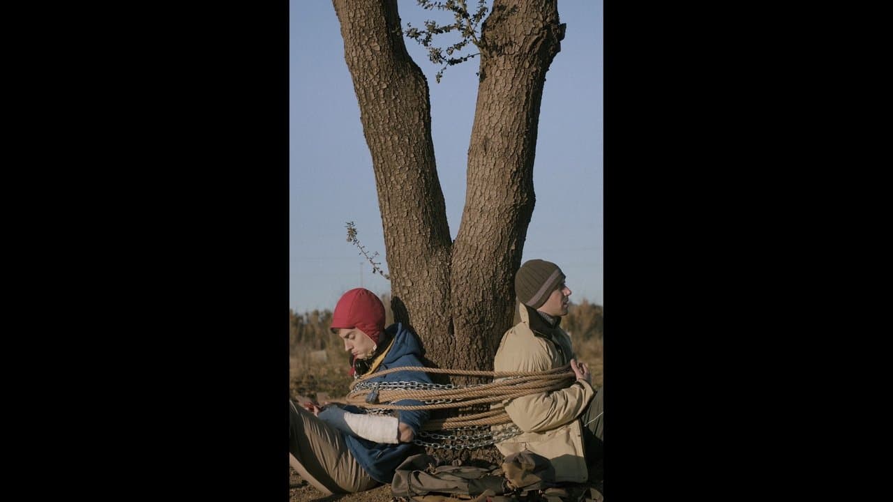 El crit sord dels arbresの背景画像