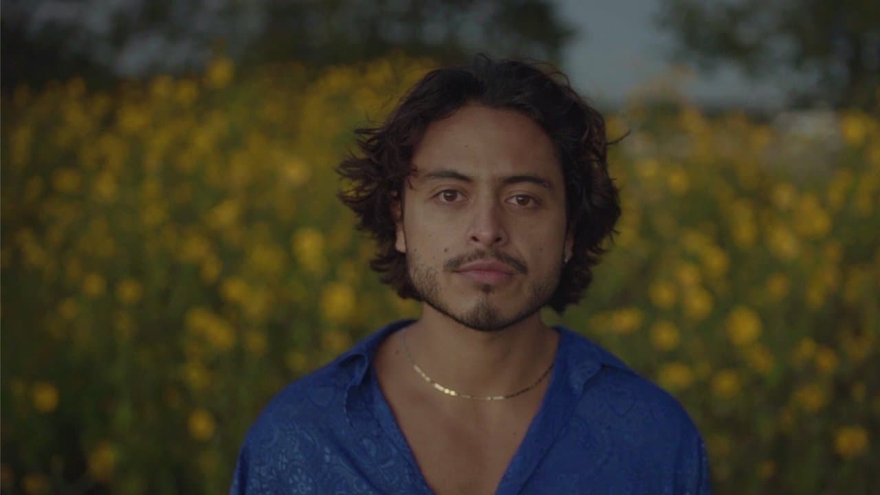 Mi amorの背景画像