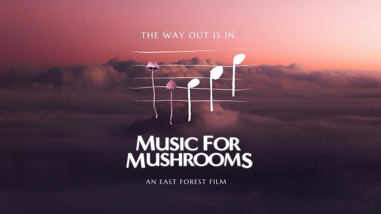 Music for Mushroomsの背景画像