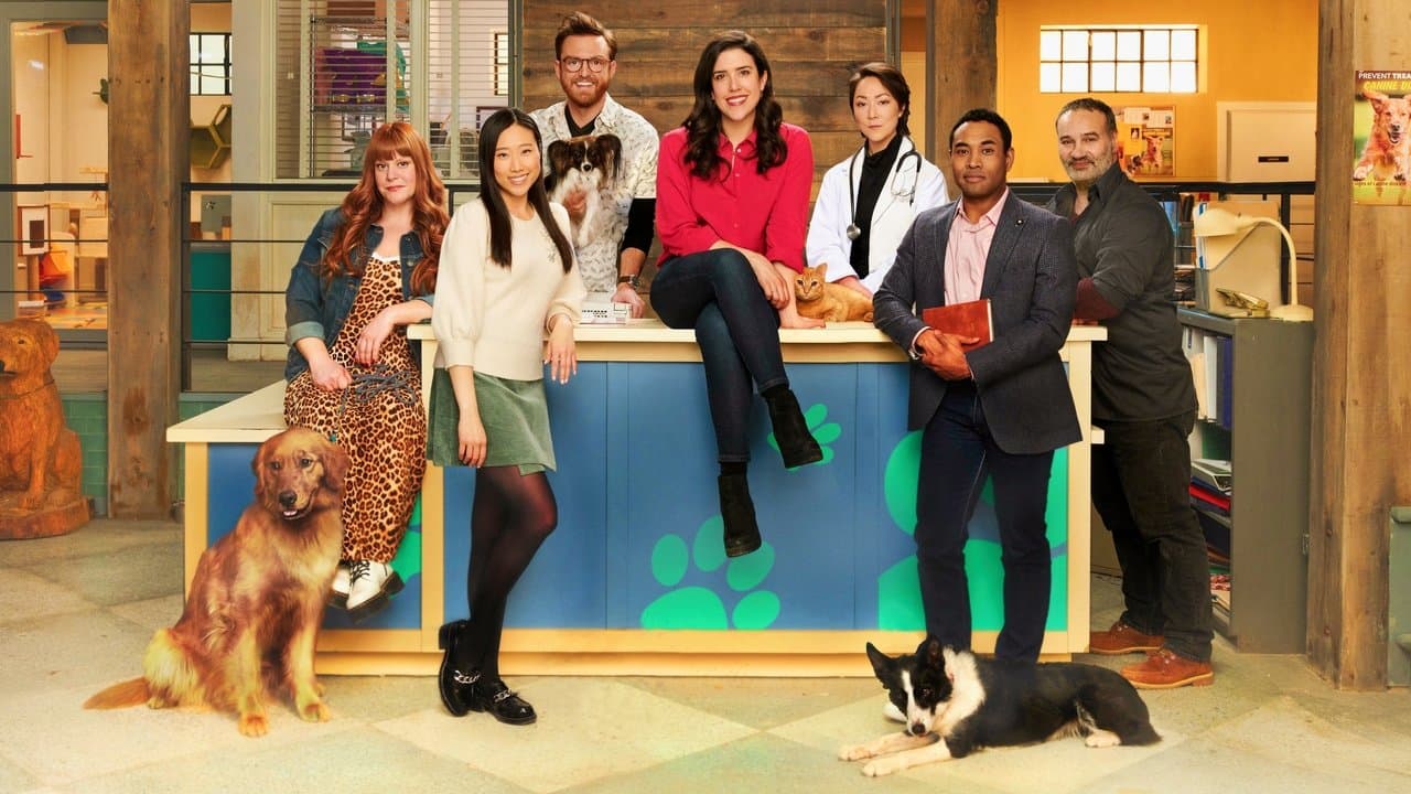 Straysの背景画像