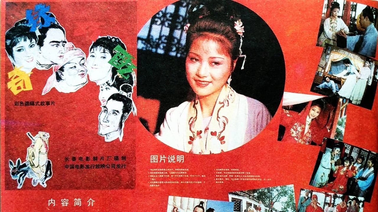 奇缘巧配の背景画像