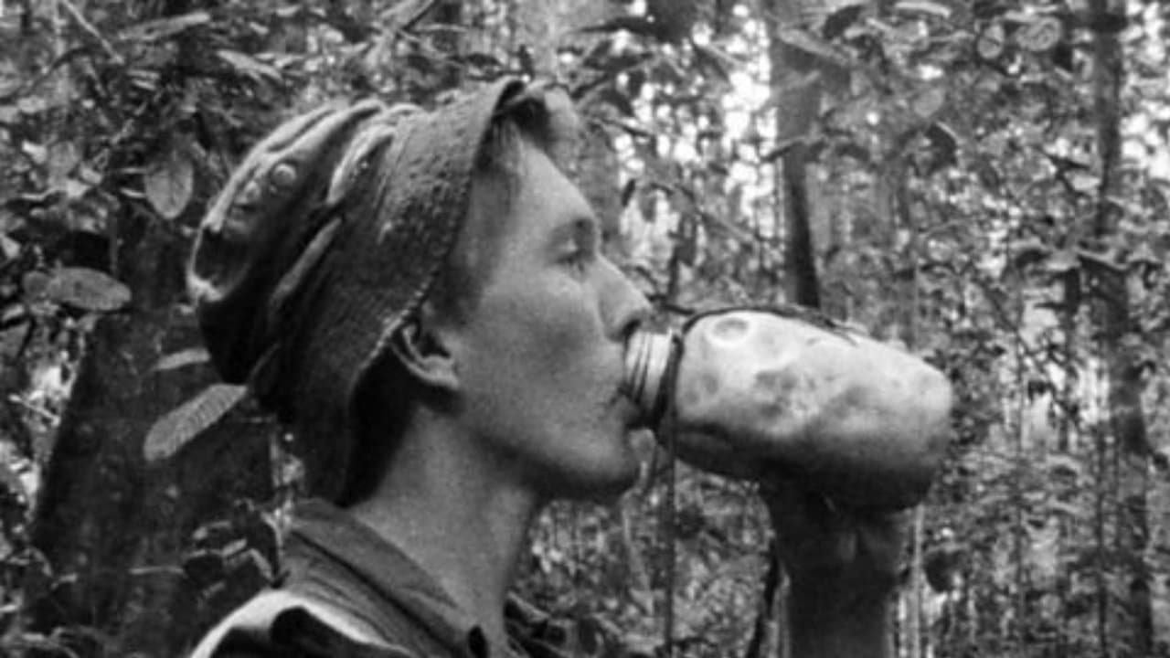 Jungle Green: Borneoの背景画像