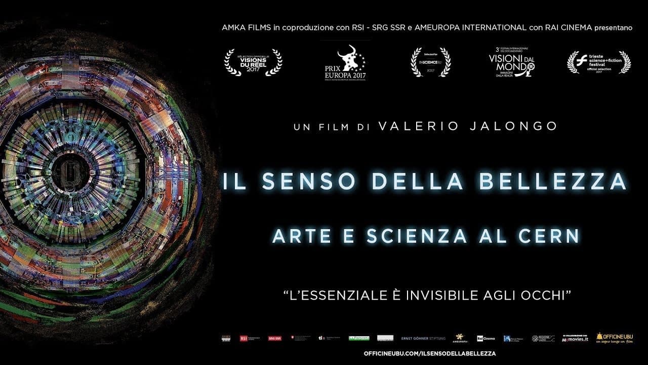 Il senso della bellezza - Arte e scienza al CERNの背景画像