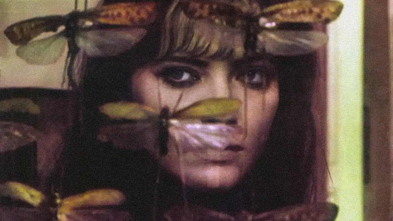 L'Allianceの背景画像