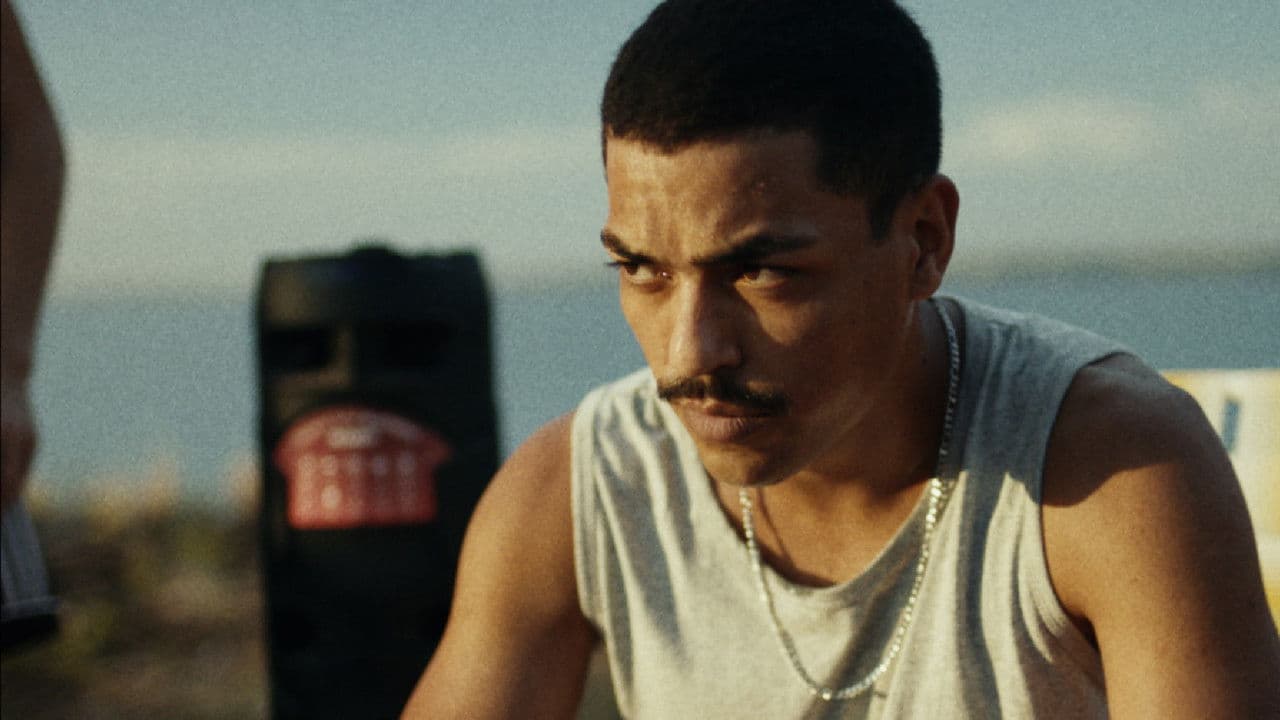 Bienvenidoの背景画像