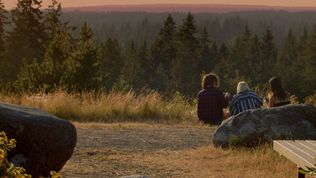 In the Summer Rainの背景画像