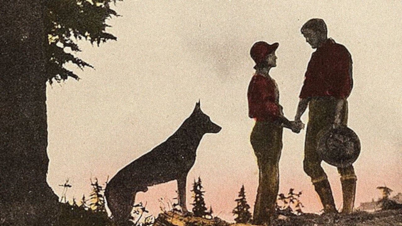 Where the North Beginsの背景画像