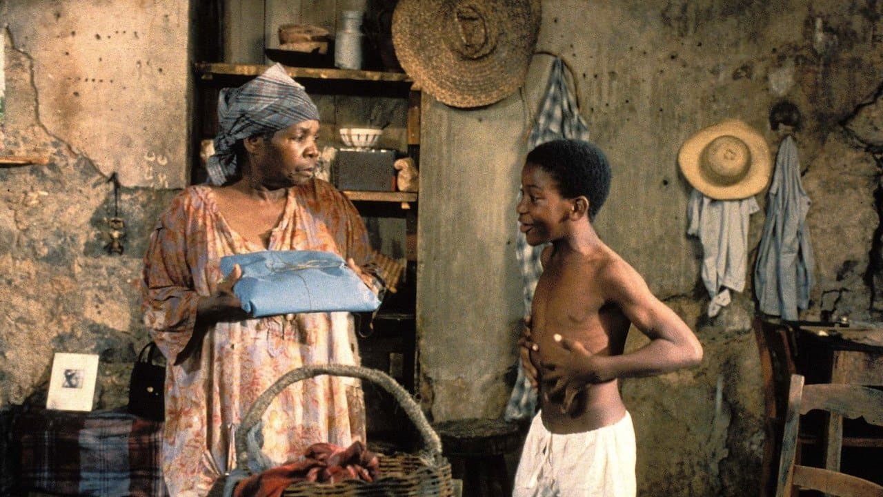 Rue cases-nègresの背景画像