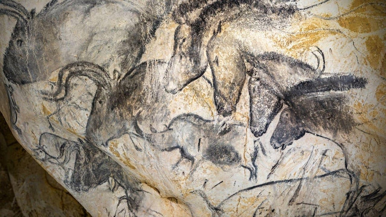 Grotte Chauvet - Dans les pas des artistes de la Préhistoireの背景画像