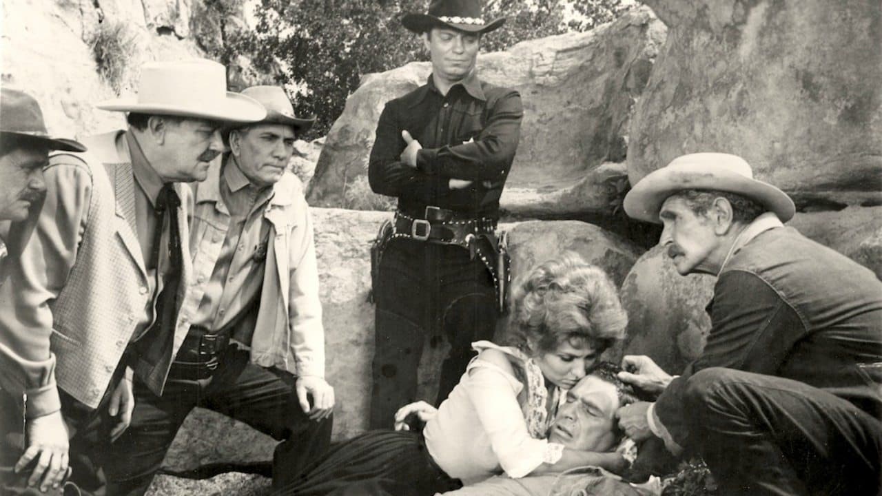 The Wild Westernersの背景画像